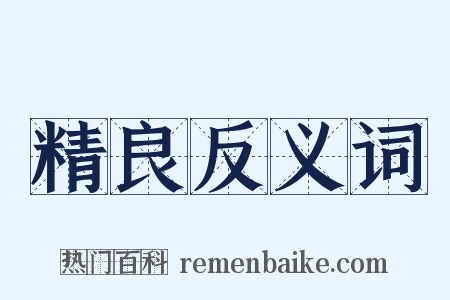 精良反义词是什么意思的图片